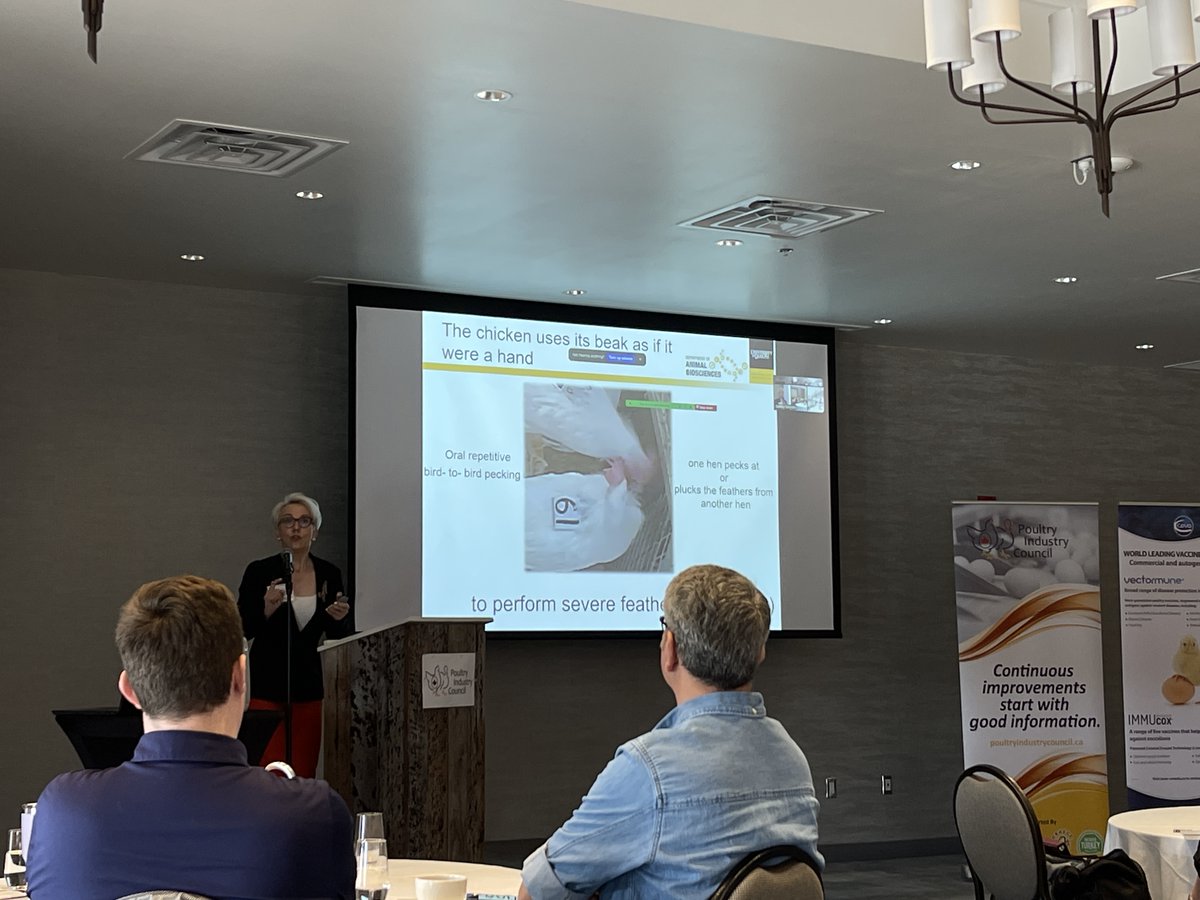 Campbell Centre for the Study of Animal Welfare tweet media