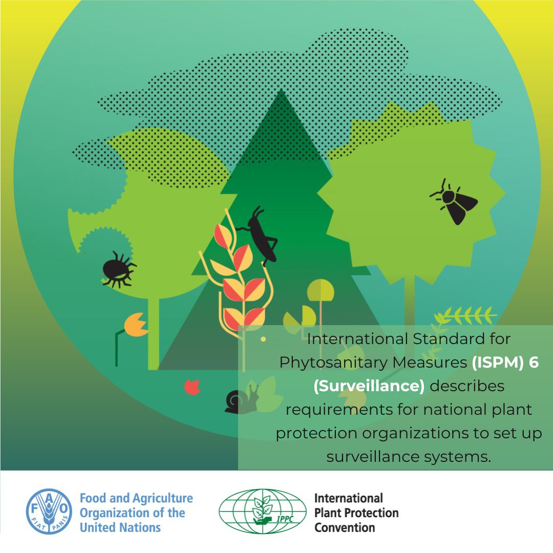 #DYK There is an international #PlantHealth standard that: 🌱fosters protection of biodiversity and the environment 🌱provides technical basis for phytosanitary measures against pests that destroy the environment and biodiversity 👉bit.ly/3wO7hMT #BiodiversityDay