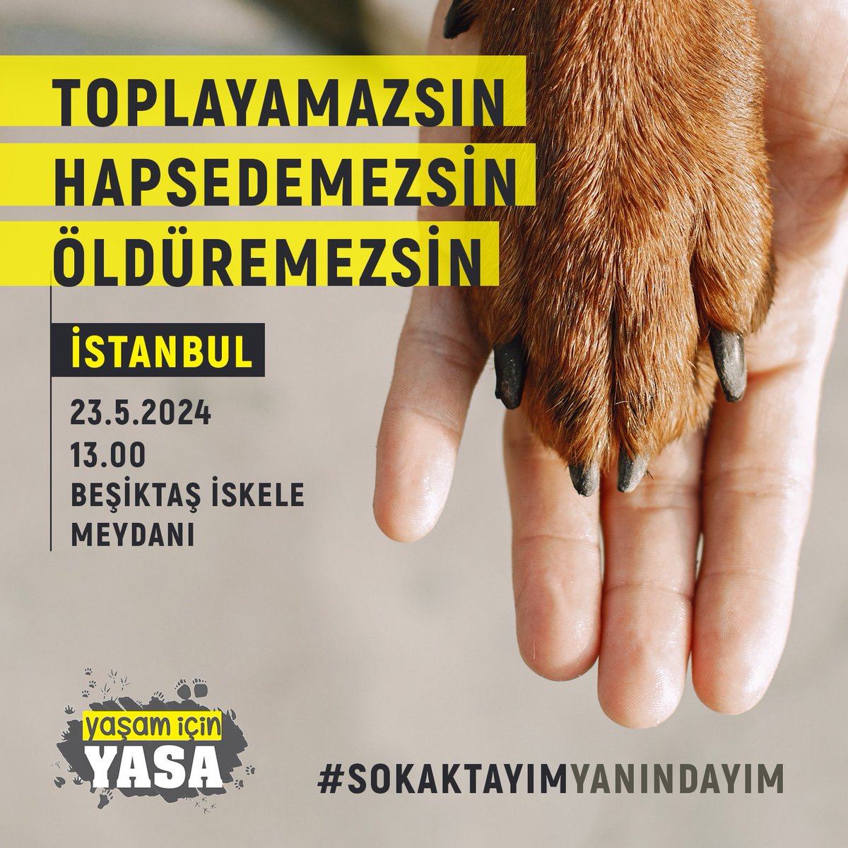 📢 Yarın TBMM'de görüşülmesi ve gelecek haftalarda meclise sunulması planlanan toplu tecrit ve katliam tasarısına karşı sokakta yaşayan köpekleri, mahalle sakini dostlarımızı savunmak için sokaklardayız, yanlarındayız! 

Yaşam İçin Yasa İnisiyatifi olarak direnişimizi,