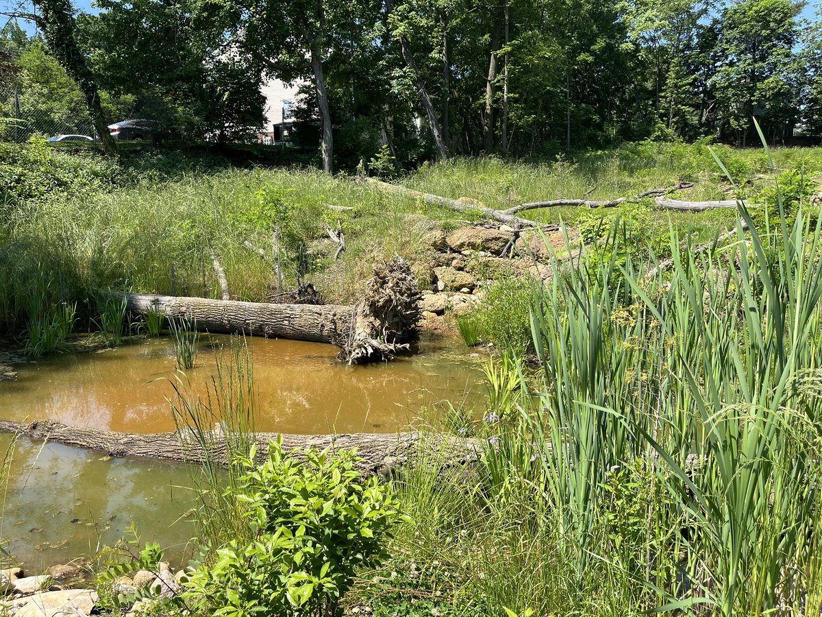 A second stop in Glen Burnie on the Director’s Tour was at Heritage Hills stream restoration and stormwater work project. #NPWW #DPWandYOU