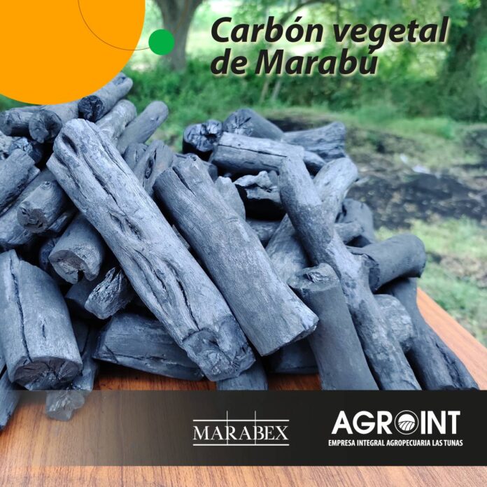 📢 Se consolida Agroint como polo exportador de #LasTunas  
@JaimeErnestoC <a href="/WalterNoris/">Walter Simon Noris</a> <a href="/GobiernoCuba/">Gobierno Cuba 🇨🇺</a> <a href="/PartidoPCC/">Partido Comunista de Cuba</a> <a href="/PresidenciaCuba/">Presidencia Cuba 🇨🇺</a> 
🔗lastunas.gob.cu/es/actualidad/…