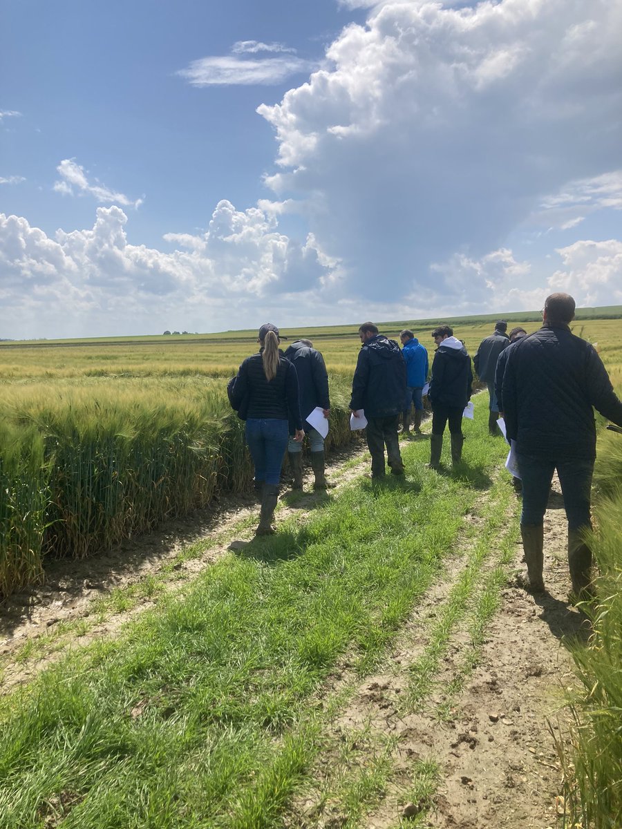 Olivier COSTE tweet media