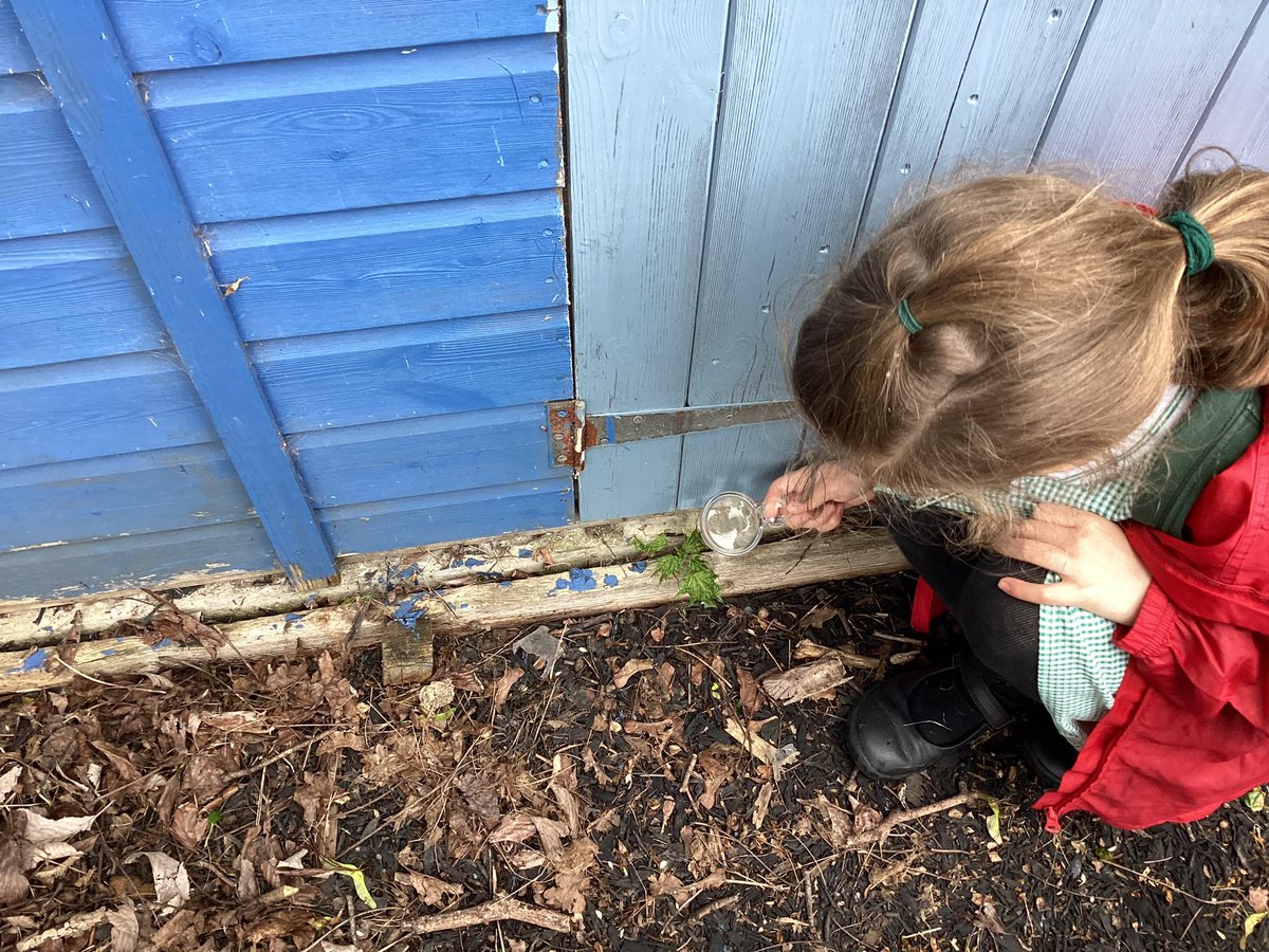 Science Club have completed activity 5 by becoming plant detectives! @CRESTAwards