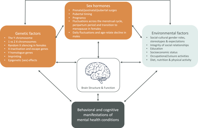Recommendations for a Better Understanding of Sex and #Gender in the #Neuroscience of Mental Health - As published in Biological Psychiatry Global Open Science spkl.io/601142beV