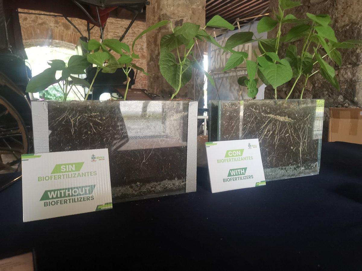 Liz Foggitt tweet media