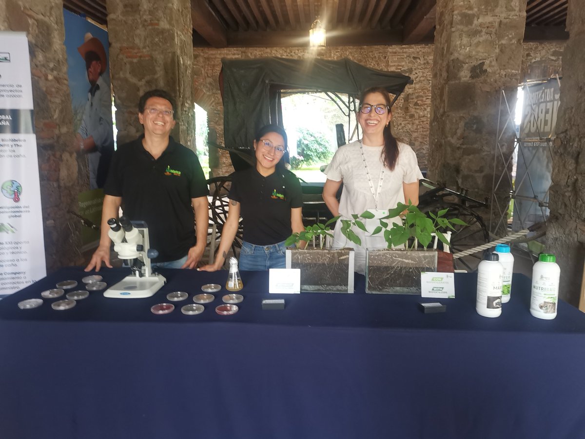 Liz Foggitt tweet media