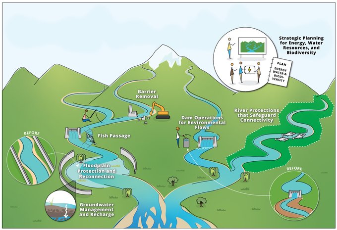 Did you know > two-thirds of long rivers are no longer free-flowing, impacting biodiversity? Learn more about the importance of maintaining freshwater connectivity in #EnvironmentalReviews: ow.ly/MH5k50RG9zp And in @forbes: ow.ly/EIzK50RG9z2 #BiodiversityDay