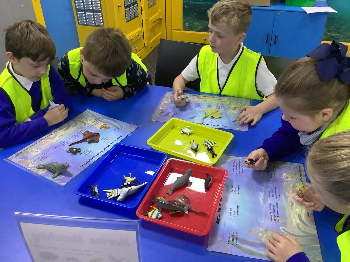 Hawks have had a fantastic time at The Deep today and learned about lots of interesting sea creatures! #AGPAScience #TheDeep