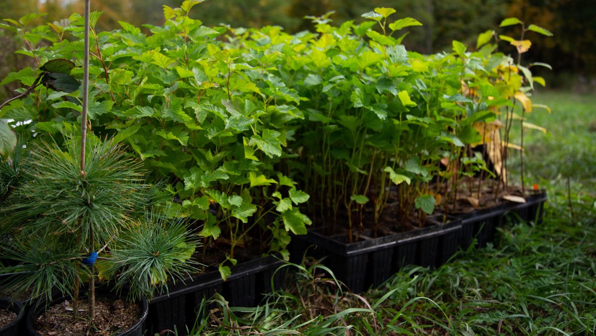 Biodiversity connects us all. From the wildlife that greet us on the trails to the rich flora that greens our watershed, native plants and animals play a critical role in the balance of local ecosystems. Happy #BiodiversityDay! 🌎️💚
conservationhalton.ca/ecology
