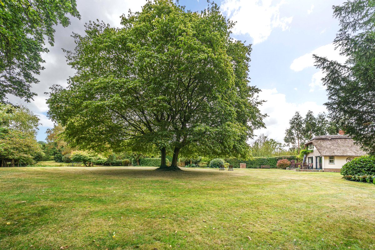 This charming four-bedroom family cottage exudes character and allure, seamlessly blending classic fixtures with contemporary amenities. @Curchods 📍How much? £1.295m 📍Where? Dunsfold, Surrey 🔗Click here to take a look at the property: onthemarket.com/details/147546…