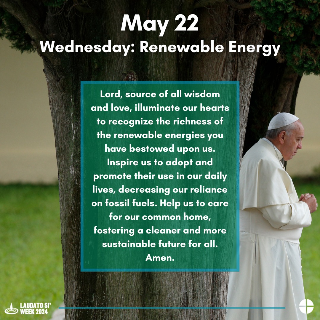 You shall not pollute the land in which you live. Numbers 35:33 #LaudatoSiWeek2024