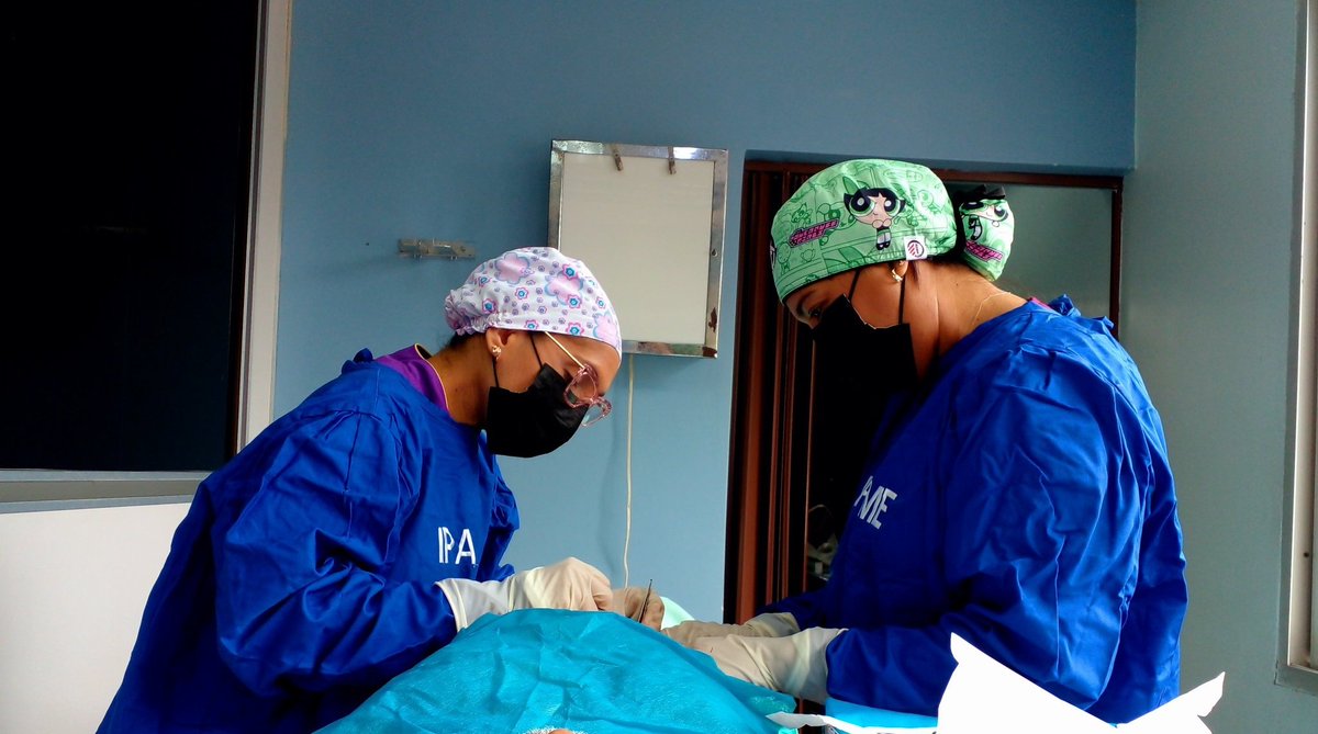 Nuestra Unidad @ipasmeupata con un excelente equipo profesional de médicos cirujanos realiza con éxito intervenciones quirúrgicas ambulatorias, a los pacientes beneficiarios que requieren de este tipo de cirugías. #PuebloMaduroPaLasQueSea @NicolasMaduro