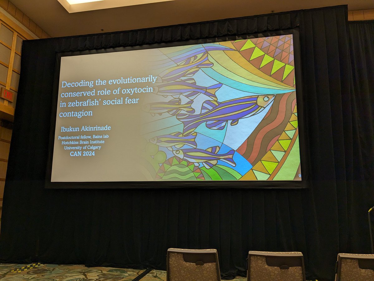 Speaking now: Ibukun Akinrinade. U Toronto
Neuropeptide nexus: Decoding oxytocin’s evolutionarily conserved role on social contagion in zebrafish.