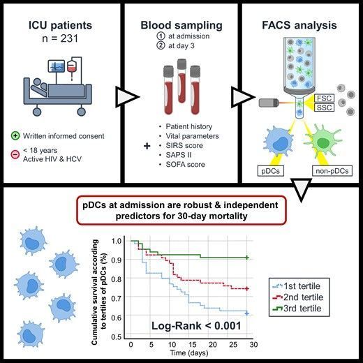 Plasmacytoid dendritic cells predict survival at the intensive care unit. Learn more in this #JLB article by Steinacher and others. buff.ly/4dxJ1zg