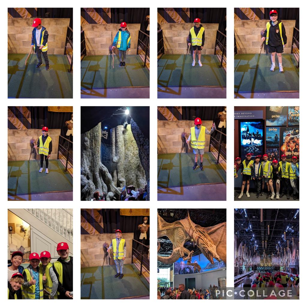 Elder Tree Class tweet media