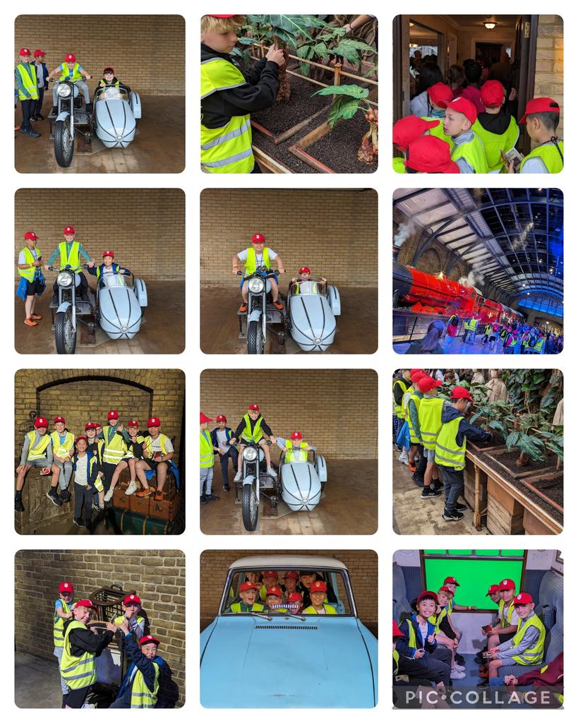 Elder Tree Class tweet media