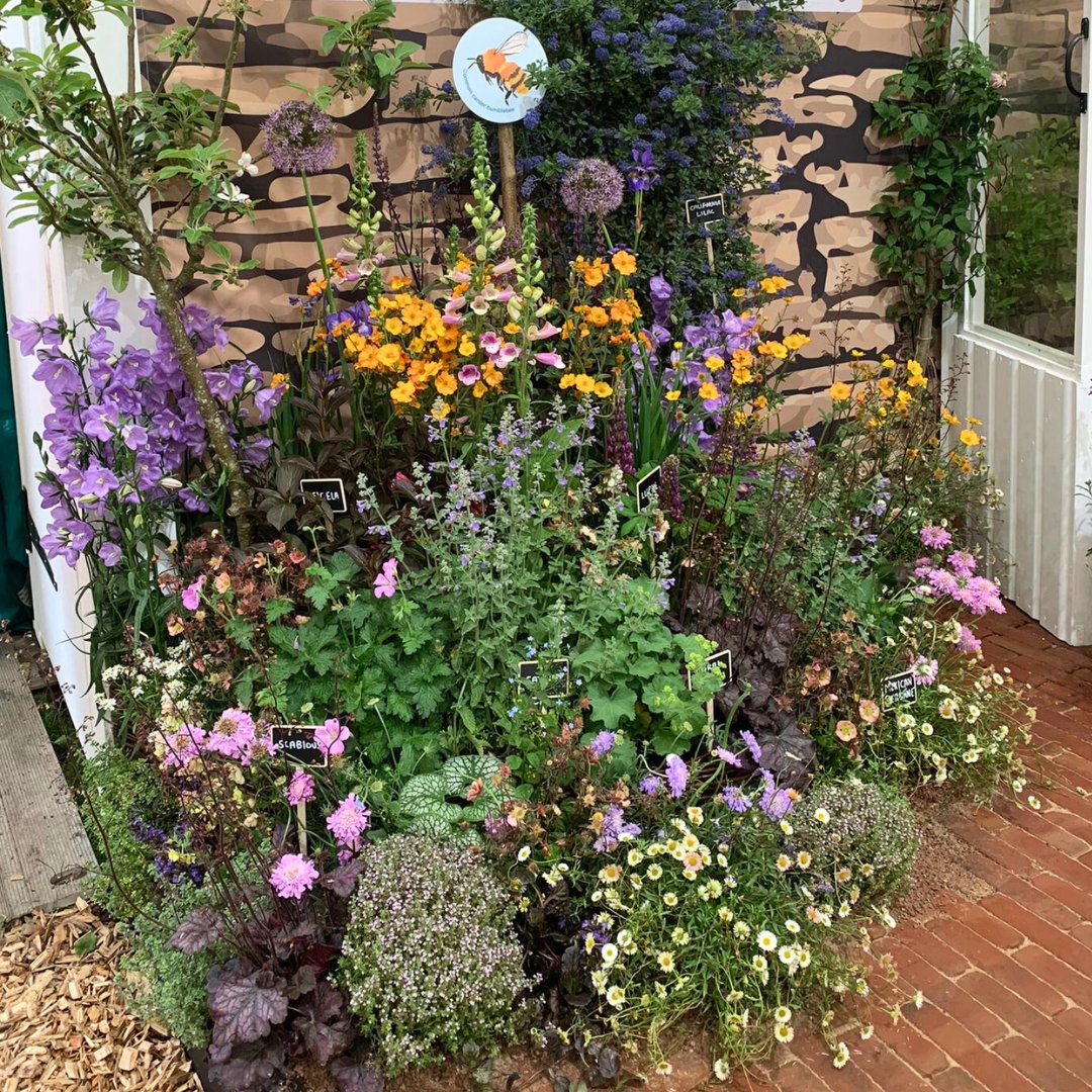 BumblebeeTrust's tweet image. We are buzzing to have won a silver-gilt medal for our Diversity is Queen exhibit at #RHSChelsea Flower Show🐝

In partnership with @GroundControlGC , our exhibit showcases various habitats supporting some of our common and scarcest bumblebees🏞️

🤝@habitat_aid @FlyingFlowersUK