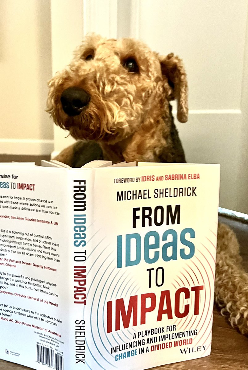 As thrilled as I am by the amazing people who appear on my #podcast, and as wonderful as it is that my #dog reads all of their books, I am still concerned about his choice of this particular book! What’s he planning?????? (oh, podcast coming tomorrow! ontheknows.com) 😜