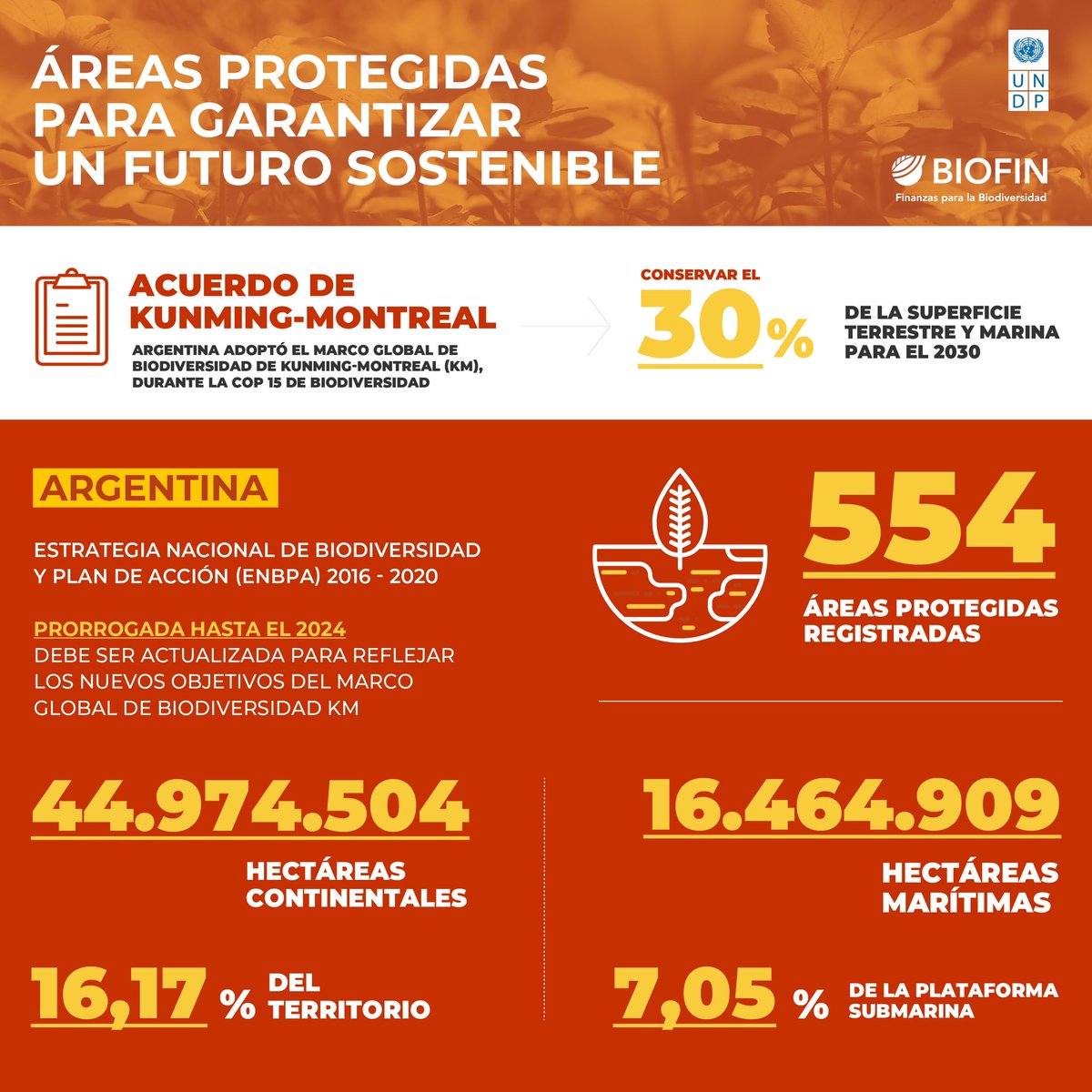 En el Día Internacional de la Diversidad Biológica compartimos el análisis de @UNDPbiofin sobre la biodiversidad en Argentina y su rol clave para un futuro sostenible. 🙌

undp.org/es/argentina/n…