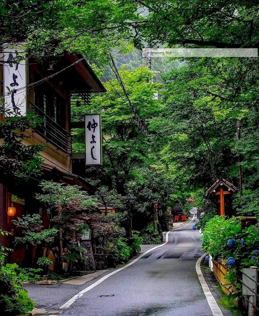 Today's Destination Is: Kyoto, Japan 🇯🇵 
Who wants to go?
#travel #travelgram #Vacation #Vacations #Kyoto #Japan #TravelAndTourWorld #Destinations #TravelTheWorld #bucketlist #jetsetter #adventure #explore #Wanderlust #TravelAddict #SeeTheWorld #Nihon #Nippon #Japanese