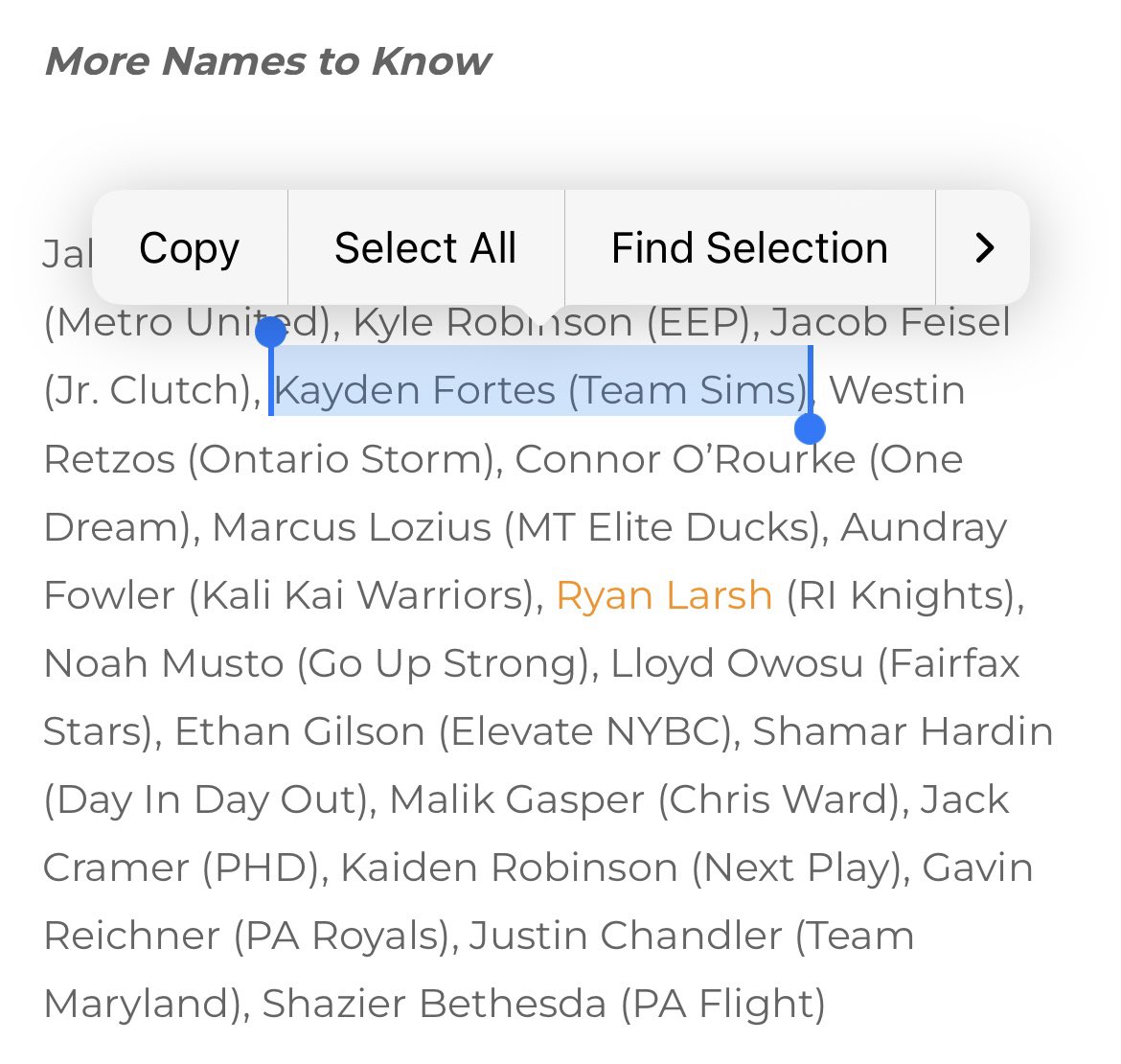 Team Sims Basketball tweet media