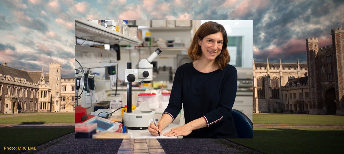 Congratulations to Professor Marta Zlatic for her election to the Academy of Medical Sciences @ZlaticLab @MRC_LMB @acmedsci @Trinity1546 #ExTRINordinary ow.ly/bhO450RRscH