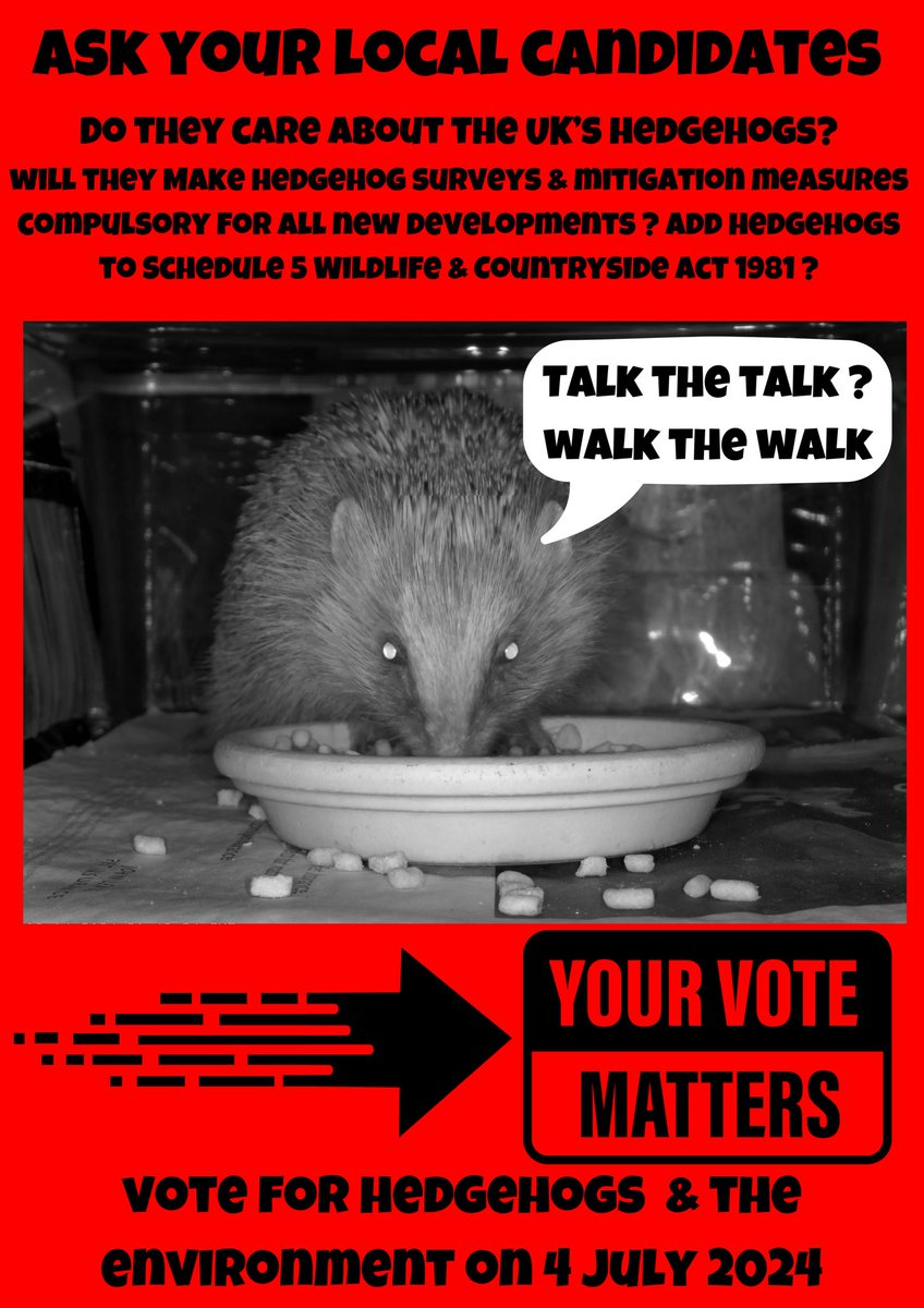 Ask them & tell them. #TalktheTalkWalkTheWalk Step up for #hedgehogs on 4 July 2024 #GeneralElection
