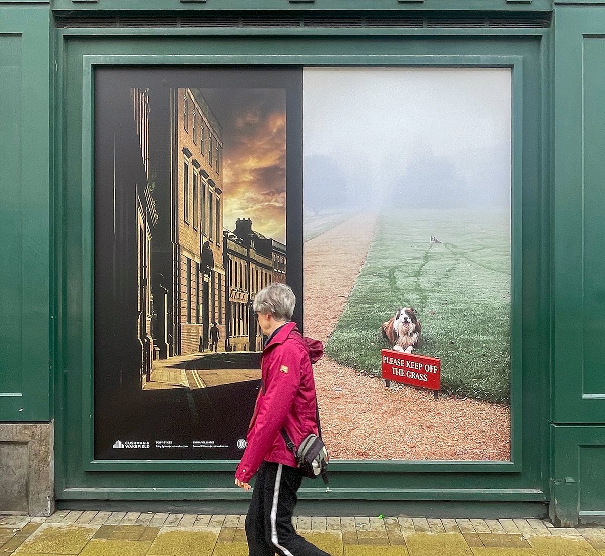 Not seen my images this big before! If you're in town, stroll along St Andrew's Street - my pictures are all over the windows. Many thanks to Julia Kervadec at Grand Arcade for her help in getting all this together.