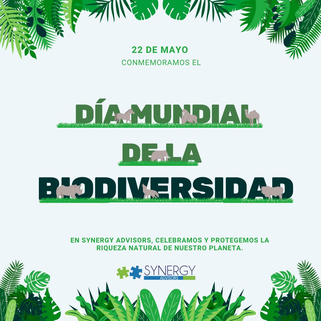 Synergy Advisors LLC tweet media