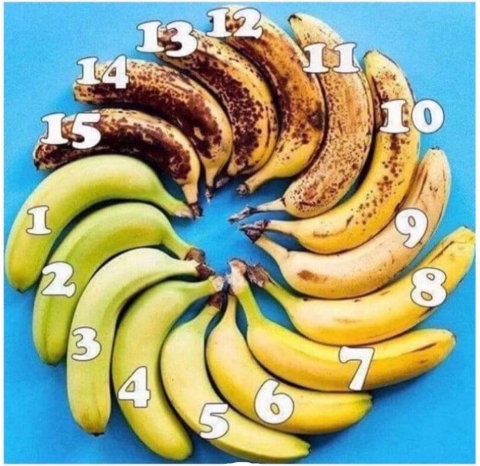 ᴊᴀɴ π tweet media