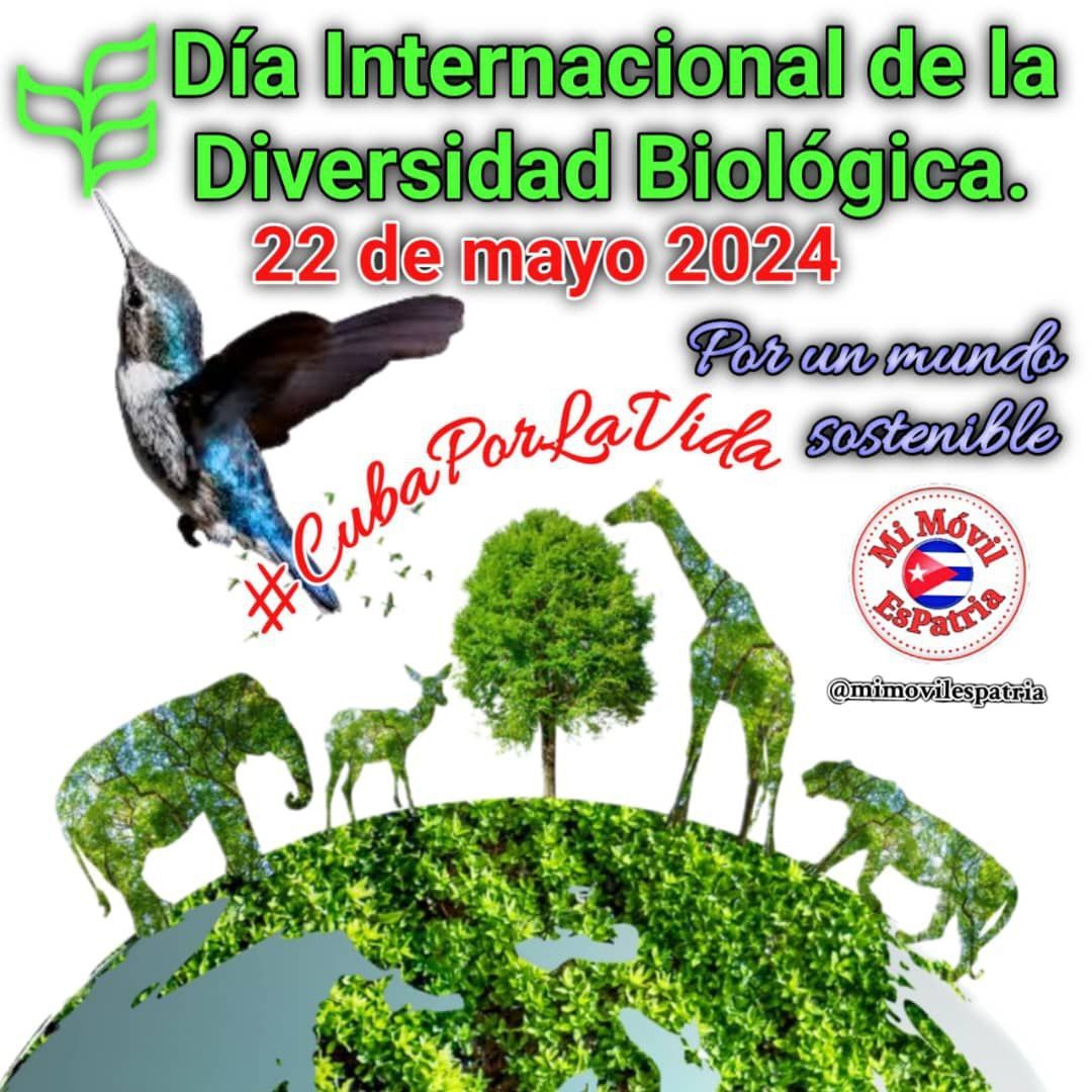 El Día Internacional de la Diversidad Biológica es una jornada que se celebra anualmente el 22 de mayo desde 2002, con el objetivo de proteger, cuidar y conservar la especie en todo el planeta. #CubaPorLaVida #MiMóvilEsPatria