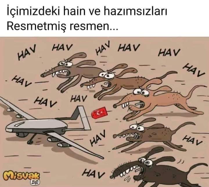 Şevki Karabekiroğlu. (@karabekiroglu_s) on Twitter photo 2024-05-22 16:23:35