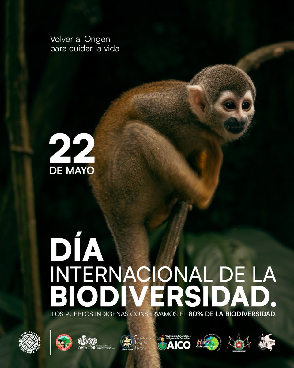 Los sistemas de conocimiento de los pueblos indígenas son vitales para la conservación de la biodiversidad. En este Día Internacional de la Biodiversidad, los pueblos indígenas de Colombia seguiremos cuidando y protegiendo la vida de toda la humanidad. Seguimos caminando la