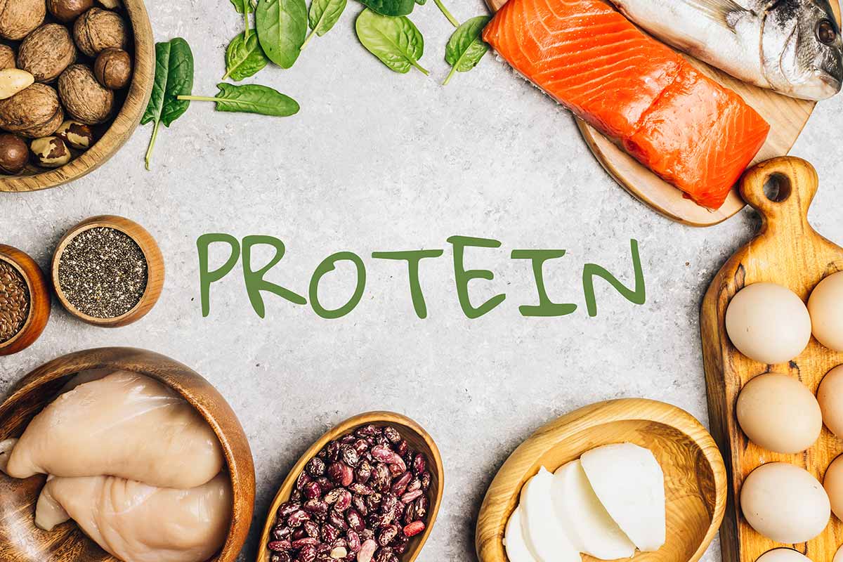 #Protein keeps you feeling satisfied. It helps regulate hunger hormones, so you're less likely to reach for unhealthy snacks between meals. This can be a game-changer for weight management and maintaining a healthy energy balance. #health #NutritionMatters