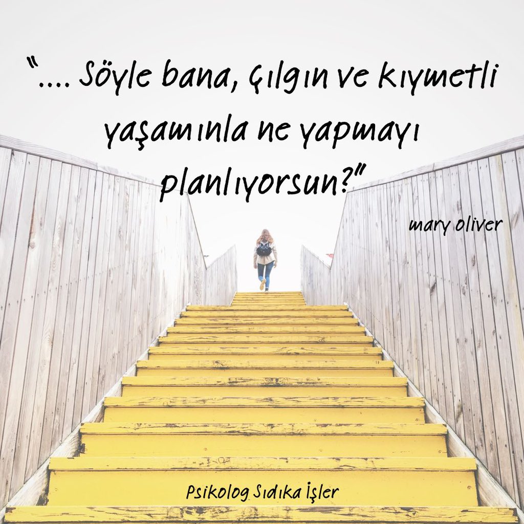 Sdkaisler's tweet photo. Senin hikayen nereye gidiyor? 🌄✨ https://t.co/XjirAxgBE7