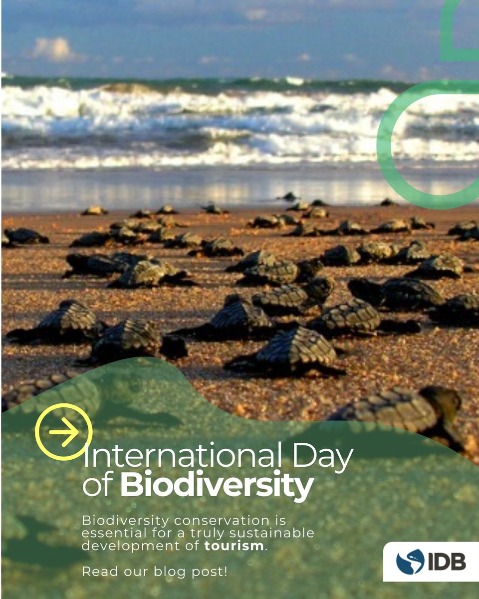 🌱🐢🦜 Happy #BiodiversityDay! Find out why conserving biological diversity is essential for a truly sustainable development of #Tourism and how we are contributing to this area in the region in our latest blog post. bit.ly/44NH0uw