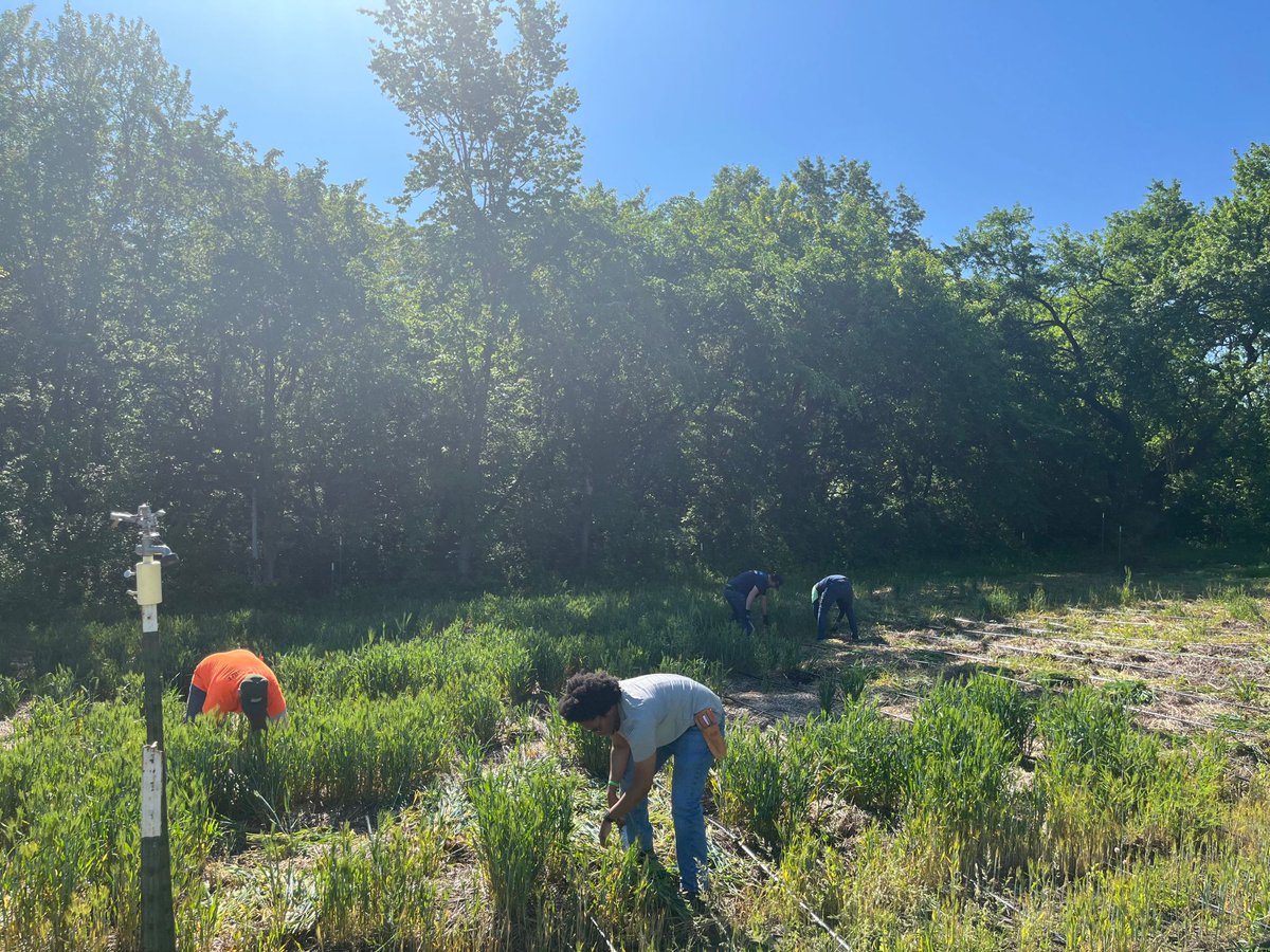 Founders Month continues!  We spent our Friday getting our hands dirty and learning more about agriculture! The only thing better than that is the amazing mission of <a href="/BoysGrow/">BoysGrow</a>!   Thank for welcoming our crew to the farm!  

#TurnerKC #TurnerConstruction #FoundersMonth