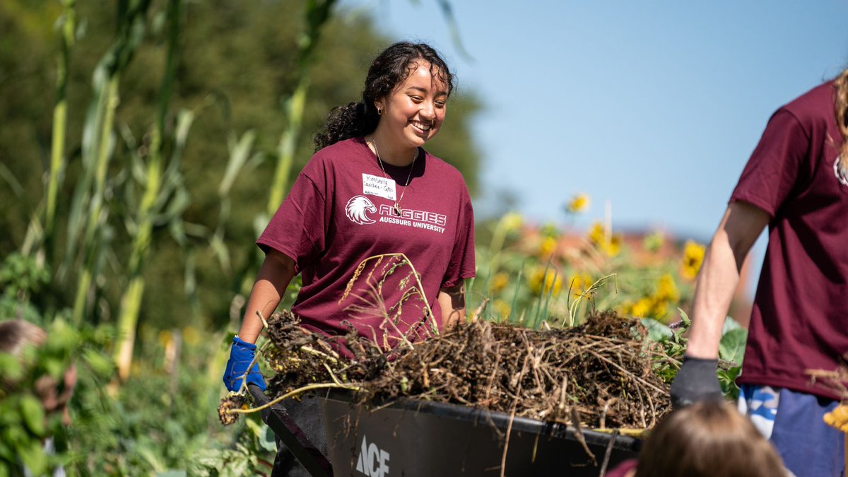 Are you an Augsburg student who loves gardening? Community connections? Food access and Campus Cupboard? Are you in the Twin Cities for the summer? Apply to work on Augsburg's community garden team! loom.ly/PpHoyts 🌻🌿🫛☀️🥬

#campusjob #studentworker #summerjob