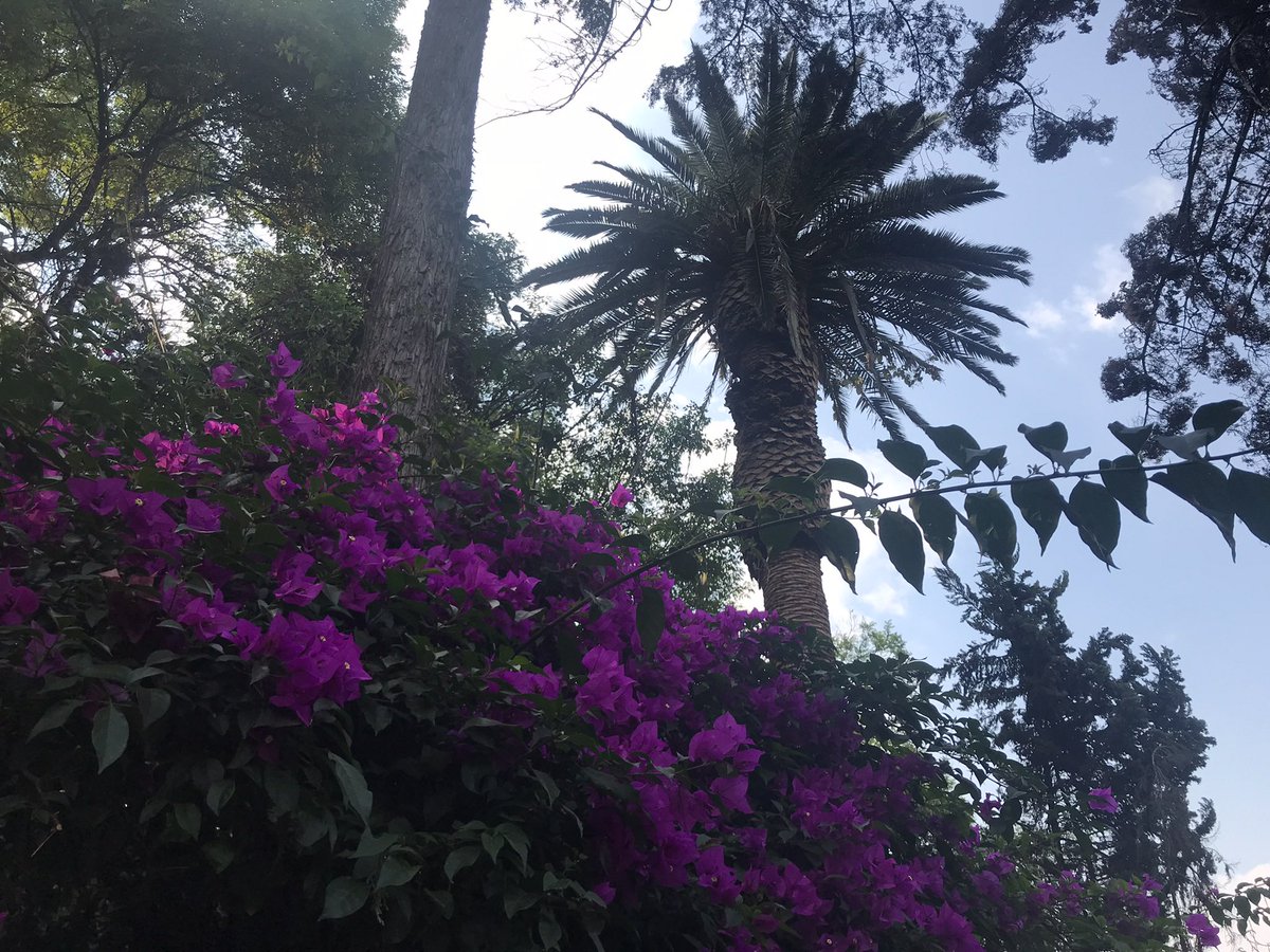 KateMatz's tweet image. Последний раз писала в Х,когда они еще не были Х. Очевидно следующая запись будет,когда они опять сменят имя.