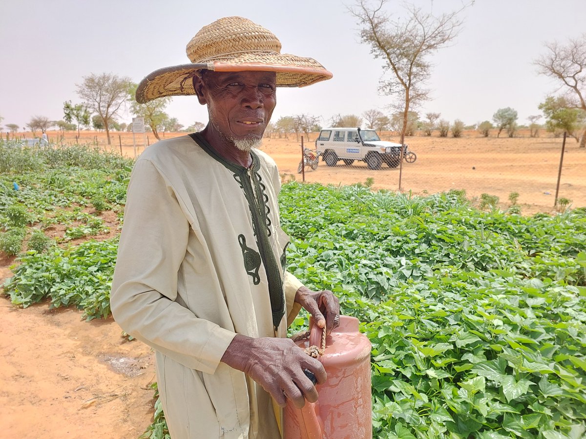 Climate-resilient farming supported by UNHCR is boosting food security and self-reliance for refugees and host communities in Niger. Oumarou, a Nigerian refugee, grows sorghum and vegetables. 'The yields from this farm feed my family, and extras are sold to cover other needs.'