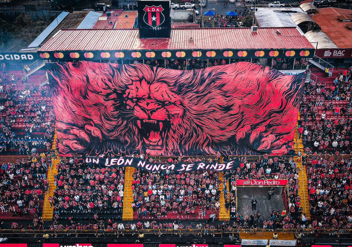 ldacr's tweet photo. ¡La fiesta la hacemos todos! ❤️🖤 Tiñamos esta noche las gradas del Morera y traé tu bandera y tus globos rojos y negros a la 'Catedral del Fútbol' para alentar a los LEONES.

⚠️ Entradas disponibles en https://t.co/KQjVNWAWm1 y, a partir de las 3:00 pm, en las boleterías del estadio.