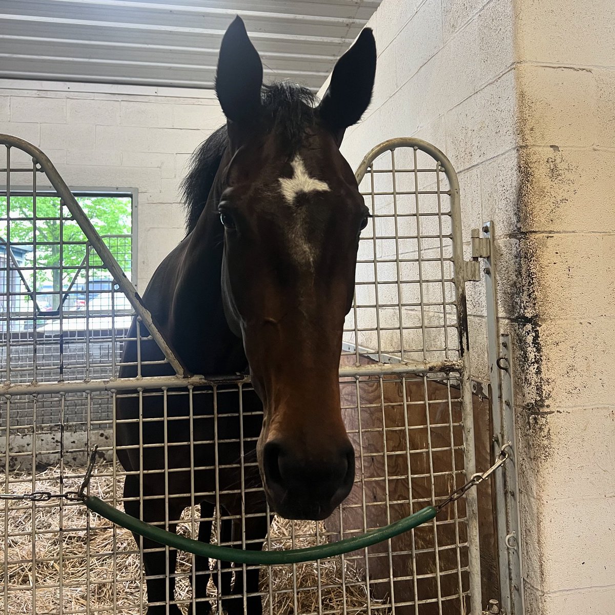 Victory Circle Racing (@vcracingstable) on Twitter photo Good luck to our girl Planet Clare in today’s 5th race <a href="/parxracing/">Parx Racing</a>! Post time is 2:28 PM ET and Paco Lopez has the mount. 🤞 🍀 🐎 Good luck to our girl Planet Clare in today’s 5th race <a href="/parxracing/">Parx Racing</a>! Post time is 2:28 PM ET and Paco Lopez has the mount. 🤞 🍀 🐎