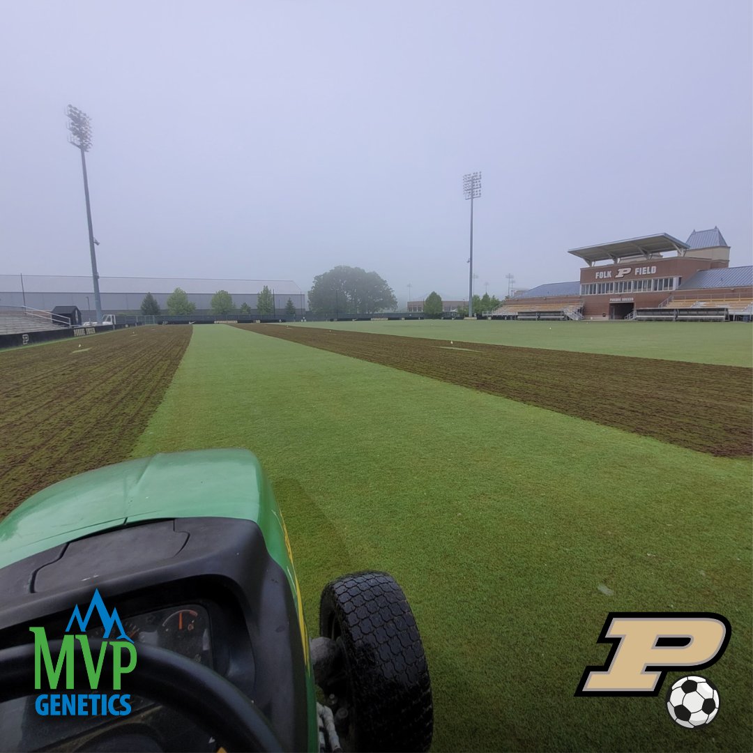 #IronCutter was installed for <a href="/PurdueSoccer/">Purdue Soccer</a> at Folk Field. Last week, the pitch received its first aeration and is looking great!

A word from the field manager... "1-year old IronCutter came out of winter beautifully. Very dense already and great color " - <a href="/lievense_nick/">Nick Lievense</a>, Purdue