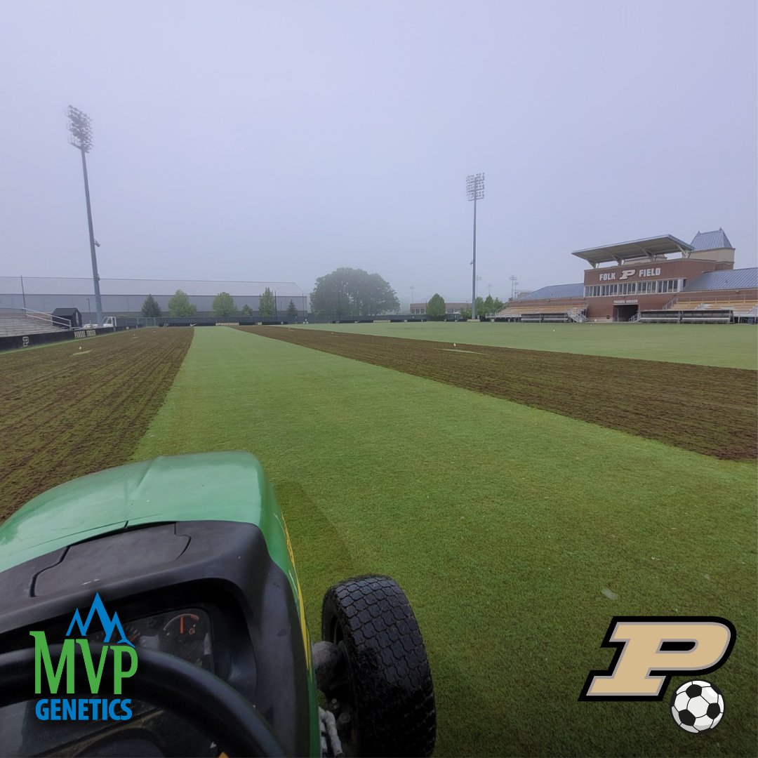 #IronCutter was installed for @PurdueSoccer at Folk Field. Last week, the pitch received its first aeration and is looking great! A word from the field manager... '1-year old IronCutter came out of winter beautifully. Very dense already and great color ' - @lievense_nick, Purdue