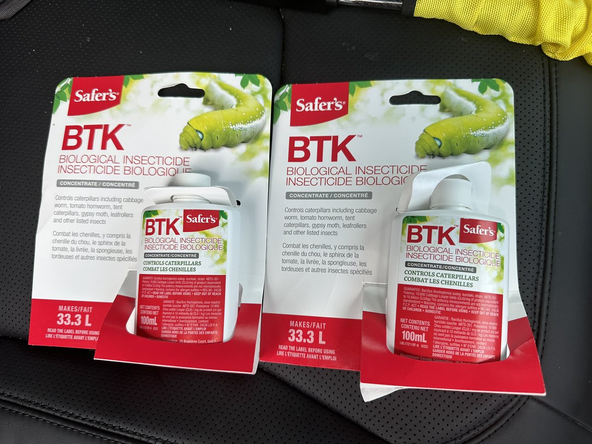 Kidsdoc1Rick's tweet image. IYKYK.   Random but important !

@CanadianTire in north Oakville just received 100s of these and everyone in line had at least 2. Impossible to find elsewhere.
#SaveTheBoxwoods
##BoxWood