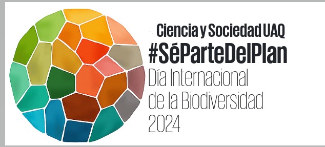 #22Mayo Dependemos de ecosistemas saludables para disponer de agua, alimentos, ropa, refugio y energía. Ciudadanos, gobiernos, pueblos indígenas y ONG pueden contribuir a detener la pérdida de la naturaleza  <a href="/ONU_es/">Naciones Unidas</a> <a href="/amciencias/">Academia Mexicana de Ciencias</a> <a href="/DraTereGasca/">Tere García Gasca</a> <a href="/UAQmx/">UAQmx</a>
