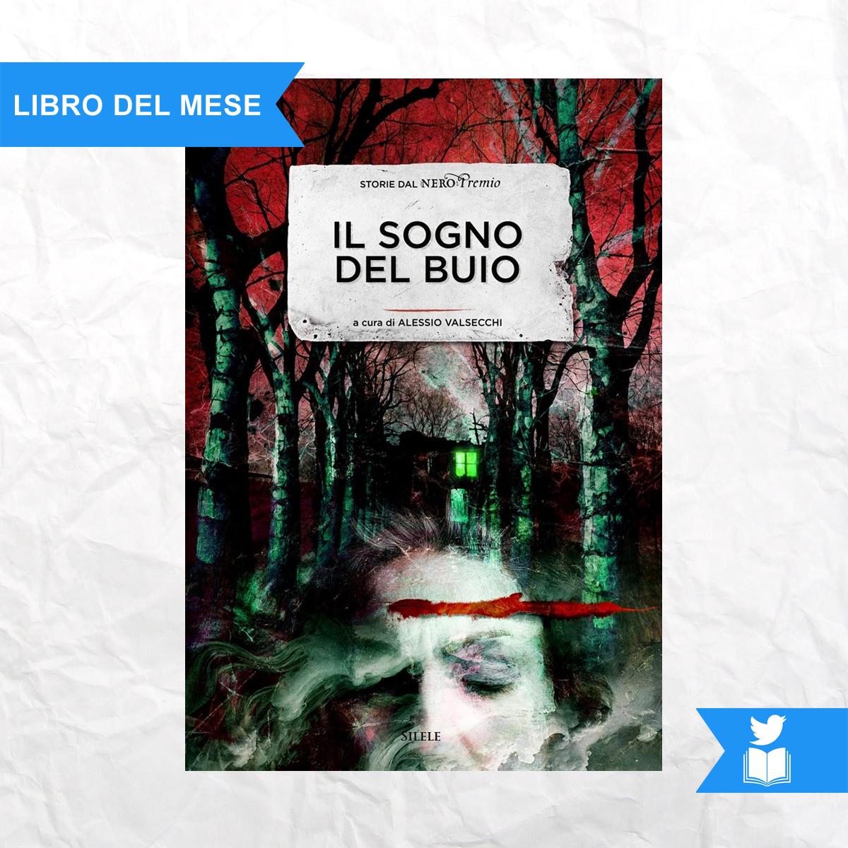 📘 Il sogno del buio
a cura di Alessio Valsecchi 
Silele Edizioni 2024 
302 pagine
💰 15 euro 
▶️ amazon.it/sogno-del-buio… 
#racconti #narrativa #libri #librichepassione #TwittaLibro #BookTwitter #bookstagram #booktwt #novità #consiglidilettura #libridaleggere #booktok #adv