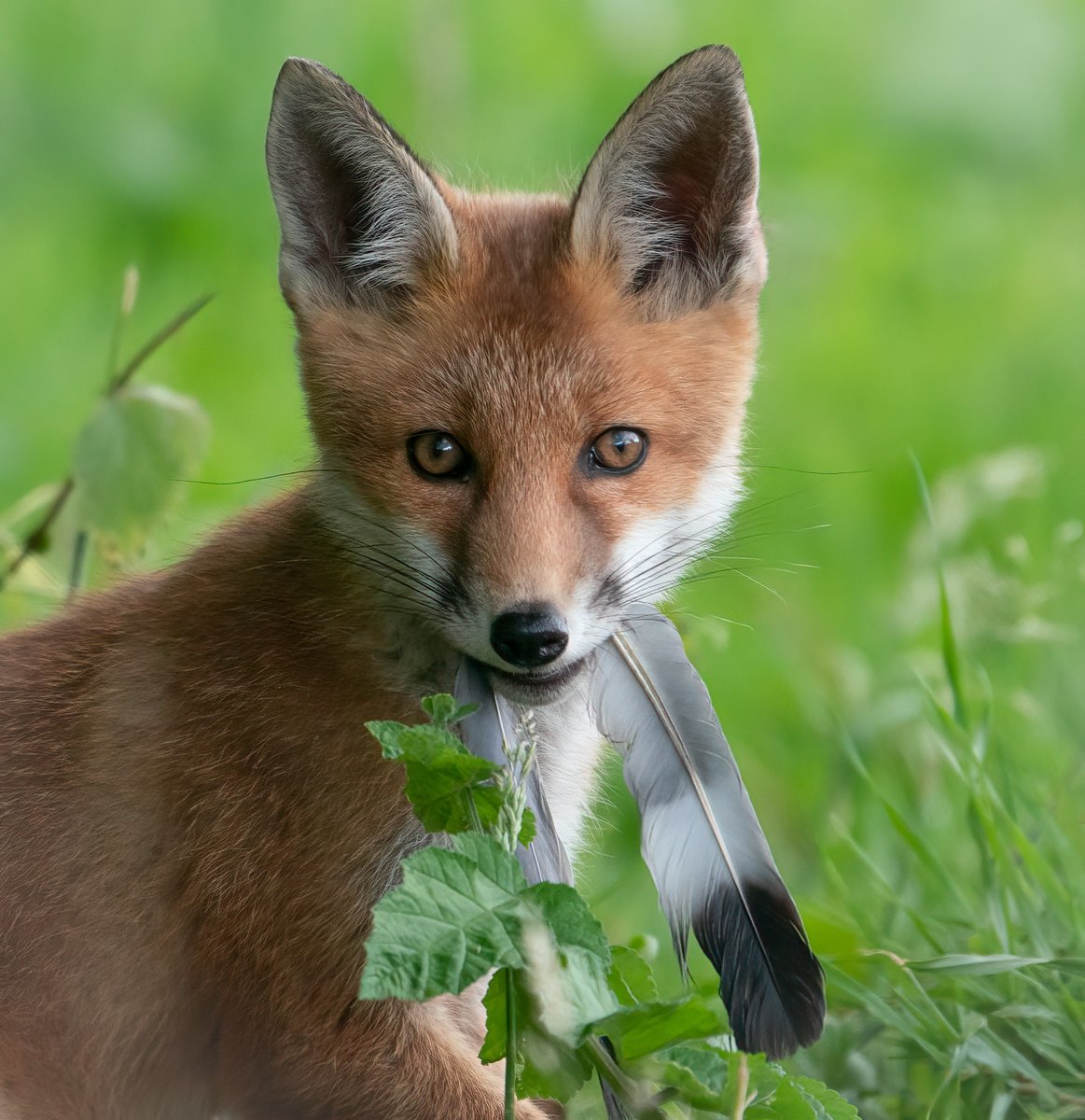 Dave Newman's Spherical Photography tweet media