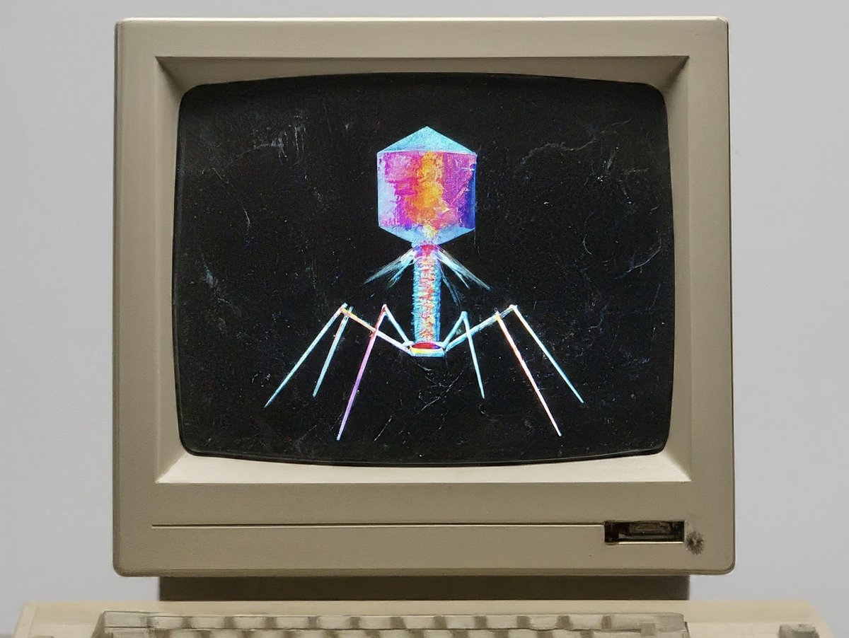 Dimi Boeckaerts (@dimiboeckaerts) on Twitter photo Super excited to share our latest work: predicting which phages will interact with Klebsiella bacteria at the strain level, today in <a href="/NatureComms/">Nature Communications</a>! Full paper here rdcu.be/dIGLS, blogpost here go.nature.com/4bCMYAH and thread below 🧵 (1/4) Super excited to share our latest work: predicting which phages will interact with Klebsiella bacteria at the strain level, today in <a href="/NatureComms/">Nature Communications</a>! Full paper here rdcu.be/dIGLS, blogpost here go.nature.com/4bCMYAH and thread below 🧵 (1/4)