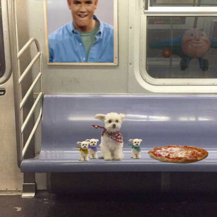 subdogcoin's tweet photo. u ride with $subdog?

6qyHraVhsLLtEosoKXscCjbhQLBUGNHMCKwqhkkGnb7 https://t.co/01UWQjiboi